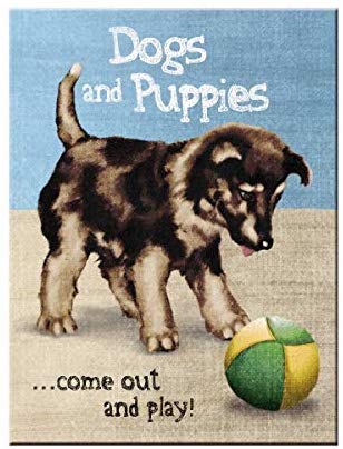 Dogs and Puppies - Segull