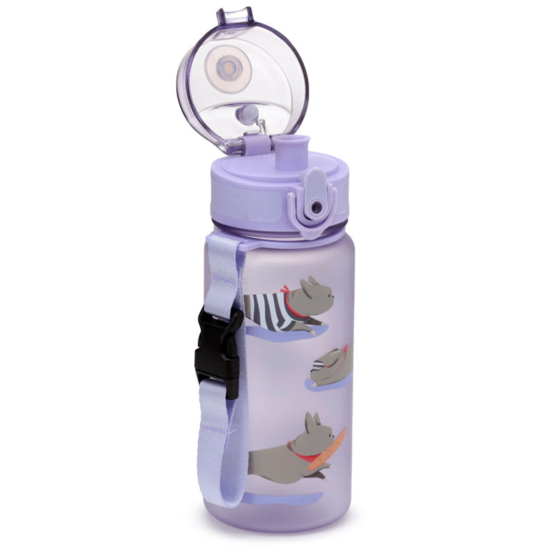 Bertrand the French Bulldog - brúsi