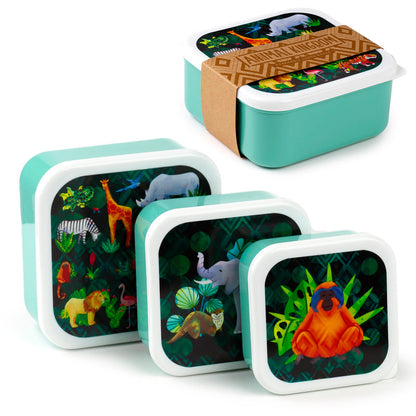 Animal Kingdom - sett með 3 nestisboxum