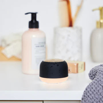 aLight Hátarli & ljós svartur